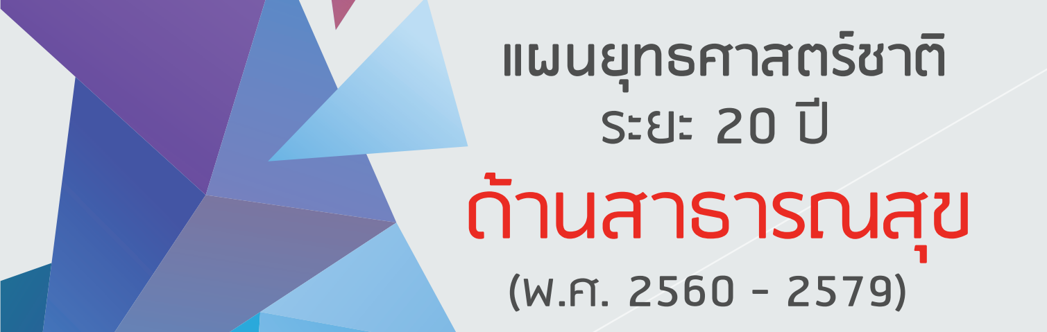 ยุทธศาสตร์ชาติ 20 ปี ด้านสาธารณสุข