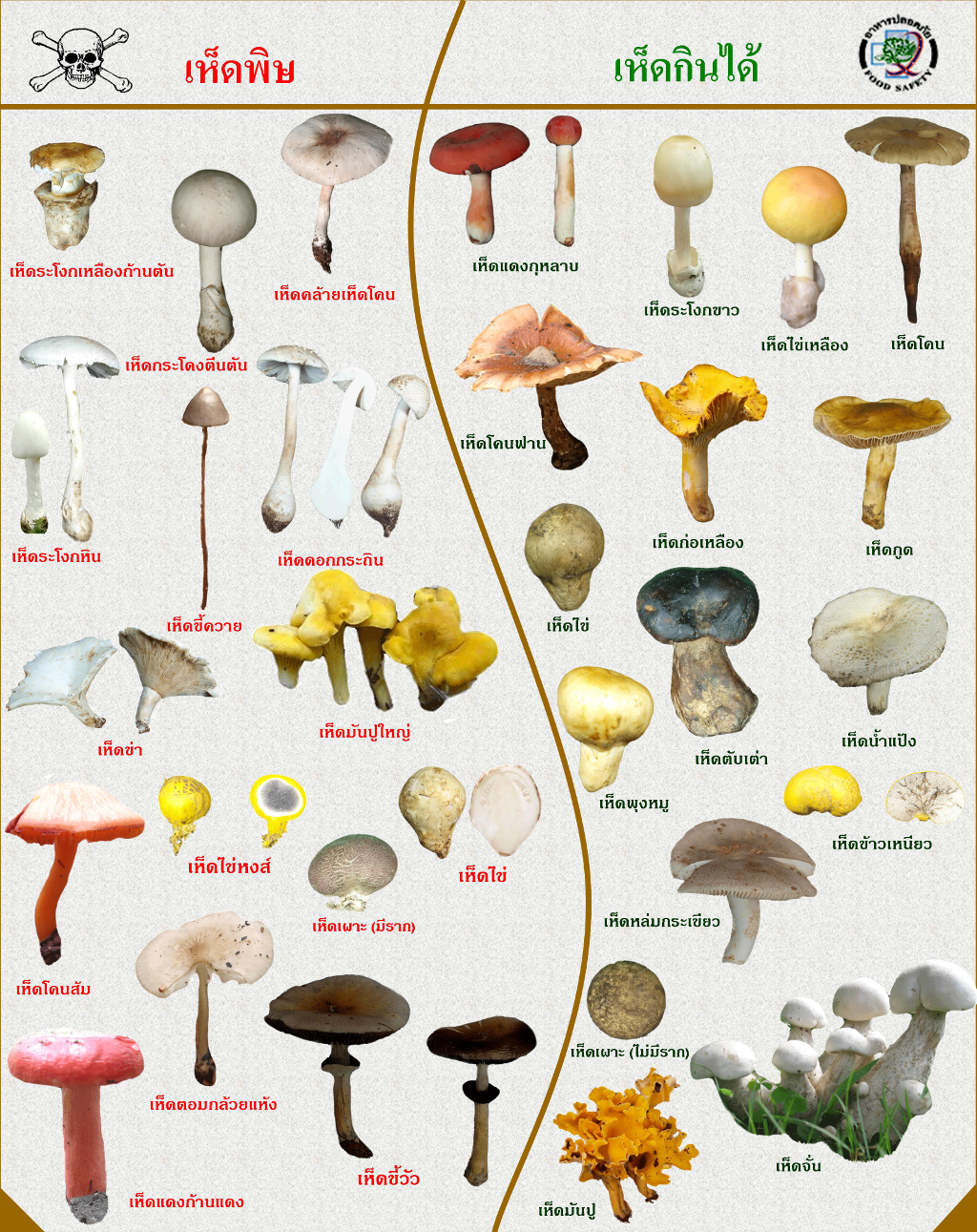 MushroomPois-01